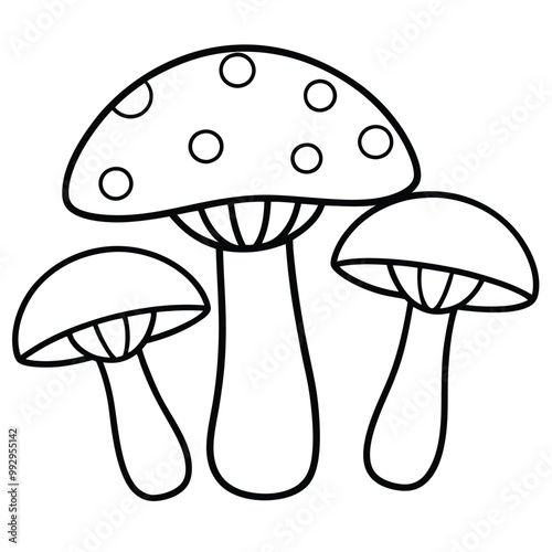 Porcini mushrooms vector. Hand-drawn Porcini mushrooms vector illustration.