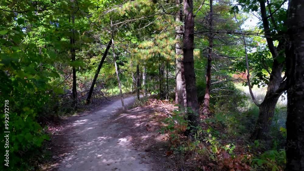 Fore River Sanctuary, Portland, Maine wooded trail Fore River Sanctuary, Portland, Maine wooded trail