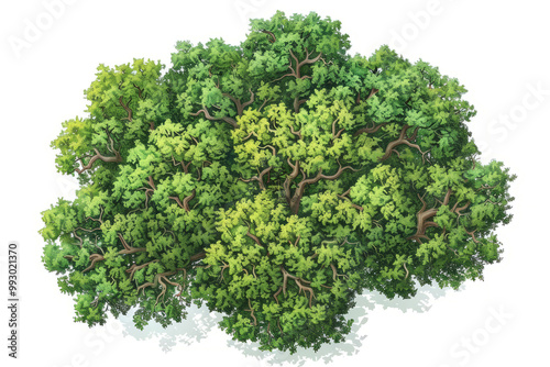 aerial view of an ancient oak woodland, highlighting the natural patterns and textures formed by the trees.