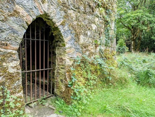 The exterior of an ancient castle doorway blocked with metal bars with the walls overgrown with plants and weeds
