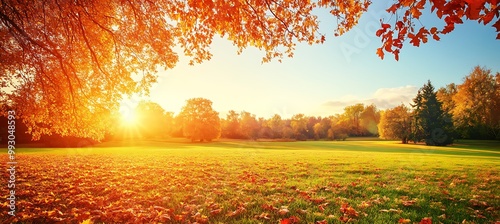 A serene, autumn park with fallen leaves and a large clear sky area for text