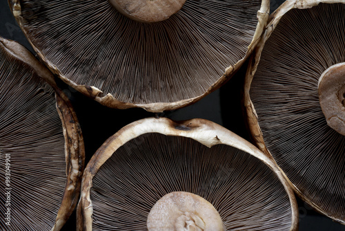 Close up photograph of whole brown portobello mushrooms, or agaricus bisporus, with macro details. Top flat view. Mushroom pattern background. Meat substitute. Source of B vitamins and minerals. 