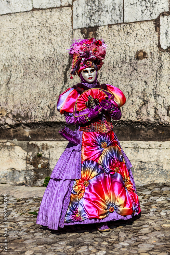 Disguised Person - Annecy Venetian Carnival 2014 Disguised Person - Annecy Venetian Carnival 2014