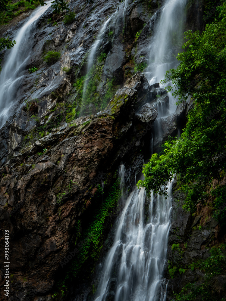 Obraz premium waterfall in the forest