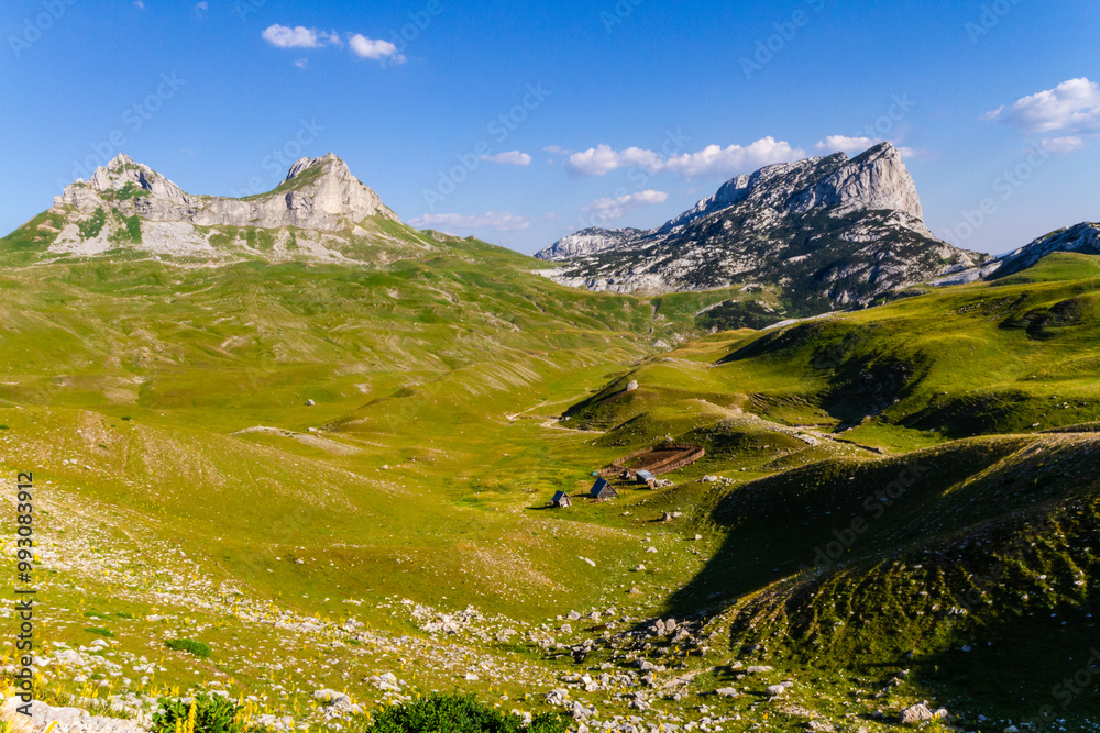 Obraz premium Picturesque summer mountain landscape overlooking the Dobri Do valley and Sedlena Greda peak. Sedlo pass. Durmitor National Park, Montenegro