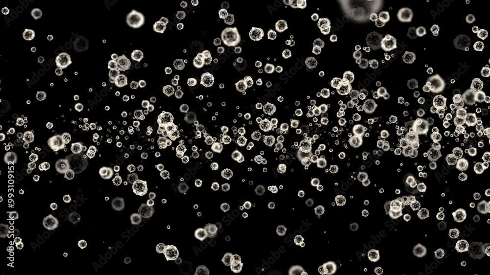 Movement of White blood cells scatter after being destroyed by the virus, Spread of virus or bacteria in the human body Movement of White blood cells scatter after being destroyed by the virus, Spread of virus or bacteria in the human body