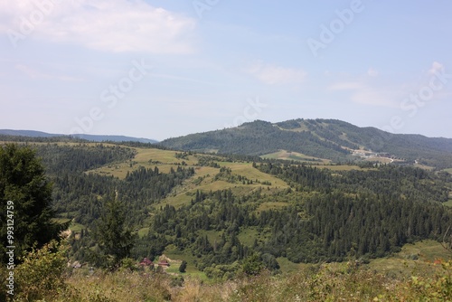 Beautiful trees and houses in mountains under blue sky