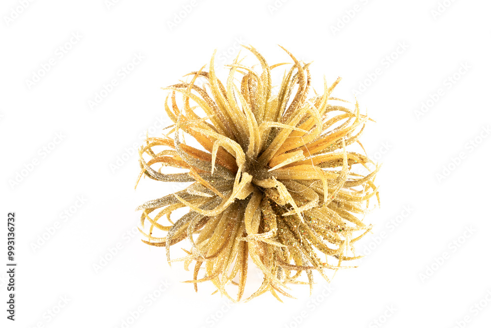 Fototapeta premium Abstract christmas tree golden hanging decoration isolated on white background