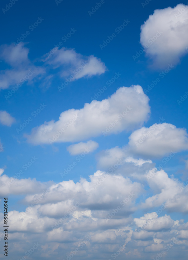Fototapeta premium White cumulus clouds forming on vivid blue sky