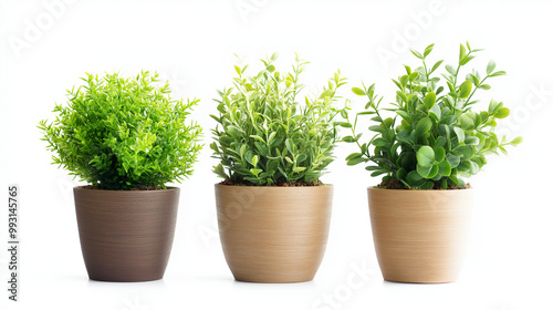 artificial plants in flower pots isolated on white background