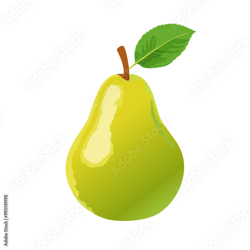 Fresh Green Pear with Attached Leaf Illustration