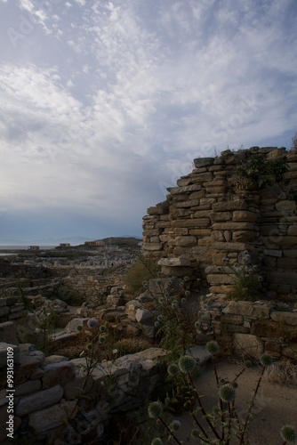 ruins of the castle