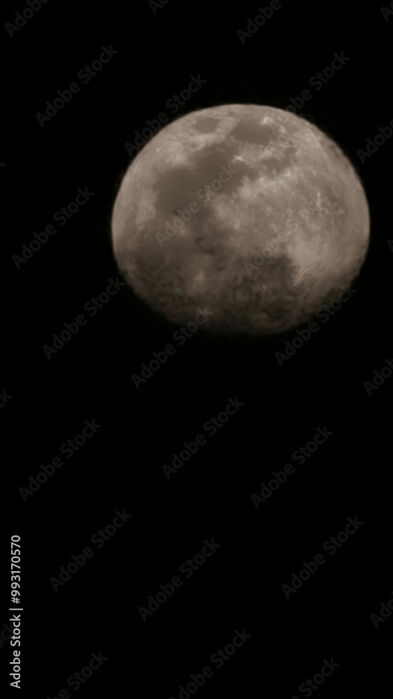 moon moon