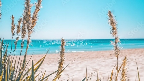   A breathtaking view of a beach featuring a stunning blue ocean in the backdrop, lush grass in the foreground, and a captivating blue sky above