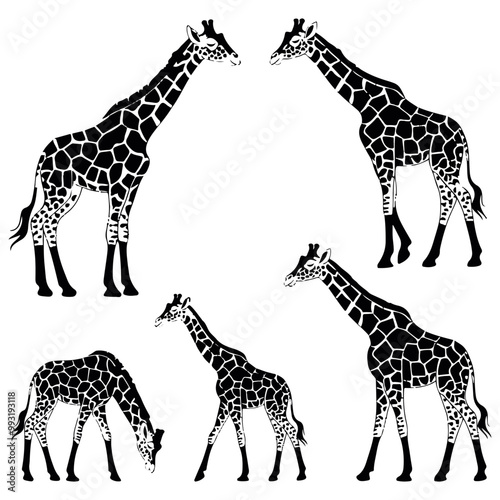 Elegant Giraffe Silhouettes in Various Poses on Transparent Background