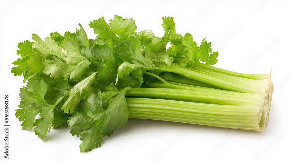 fresh celery vegetables isolated on white background fresh celery vegetables isolated on white background