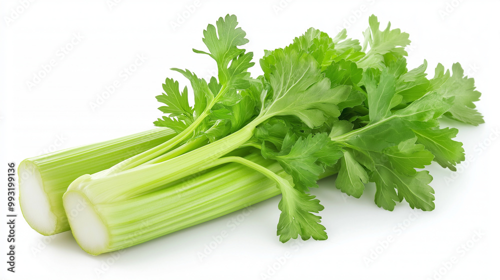 fresh celery vegetables isolated on white background fresh celery vegetables isolated on white background