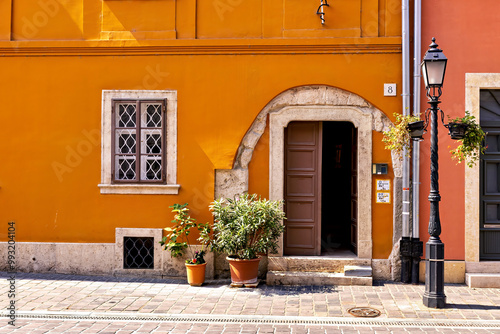 Photography Old Doors and Gate in the Castle Area of Budapest