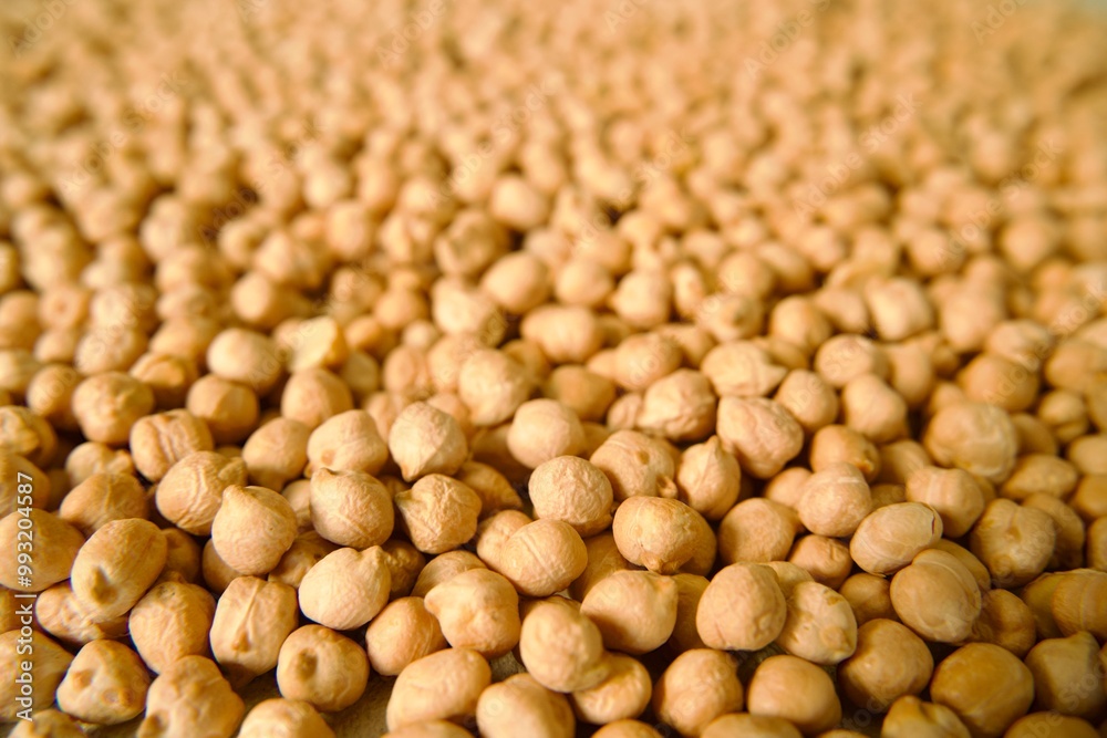 Close-up of chickpeas scattered across a surface, highlighting the texture and detail of the raw legumes. Close-up of chickpeas scattered across a surface, highlighting the texture and detail of the raw legumes.
