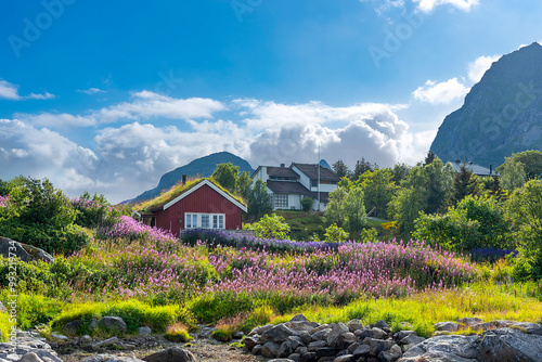 Traditional fisherman's house, called Rorbuer, in middle of lush countryside. Sorvagen in Lofoten district of Norway photo