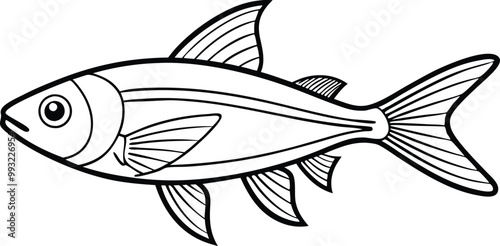 Neon Tetra fish line art vector illustration on black and white.