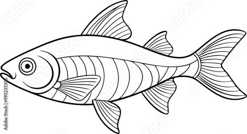 Neon Tetra fish line art vector illustration on black and white.