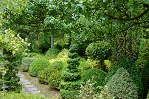 buis taillé, buxus sempervirens, dallage en pierre, Les jardins de Séricourt, Jardin remarquable, Séricourt, Région Nord Pas de Calais, 62, Pas de Calais, France photo