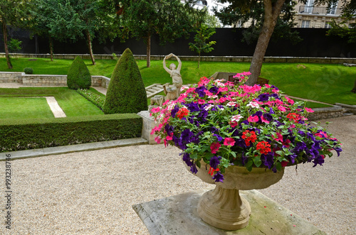 petunia , pelouse, jardins de l'ambassade de Turquie, Paris, France photo