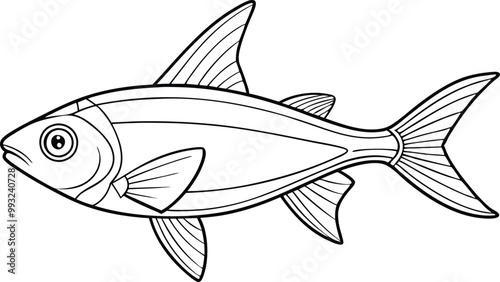 Neon Tetra fish line art vector illustration on black and white.