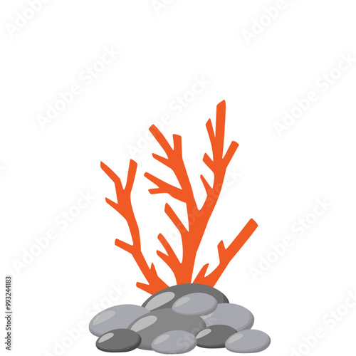 Underwater Coral Vector