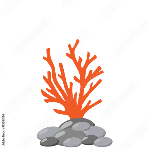 Underwater Coral Vector