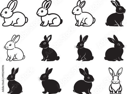 Collection of Rabbit vector linear