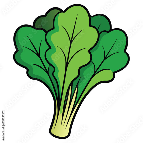 Tatsoi vector. Tatsoi outlines icon vector illustration. Hand-drawn line sketch of natural organic Asian greens.