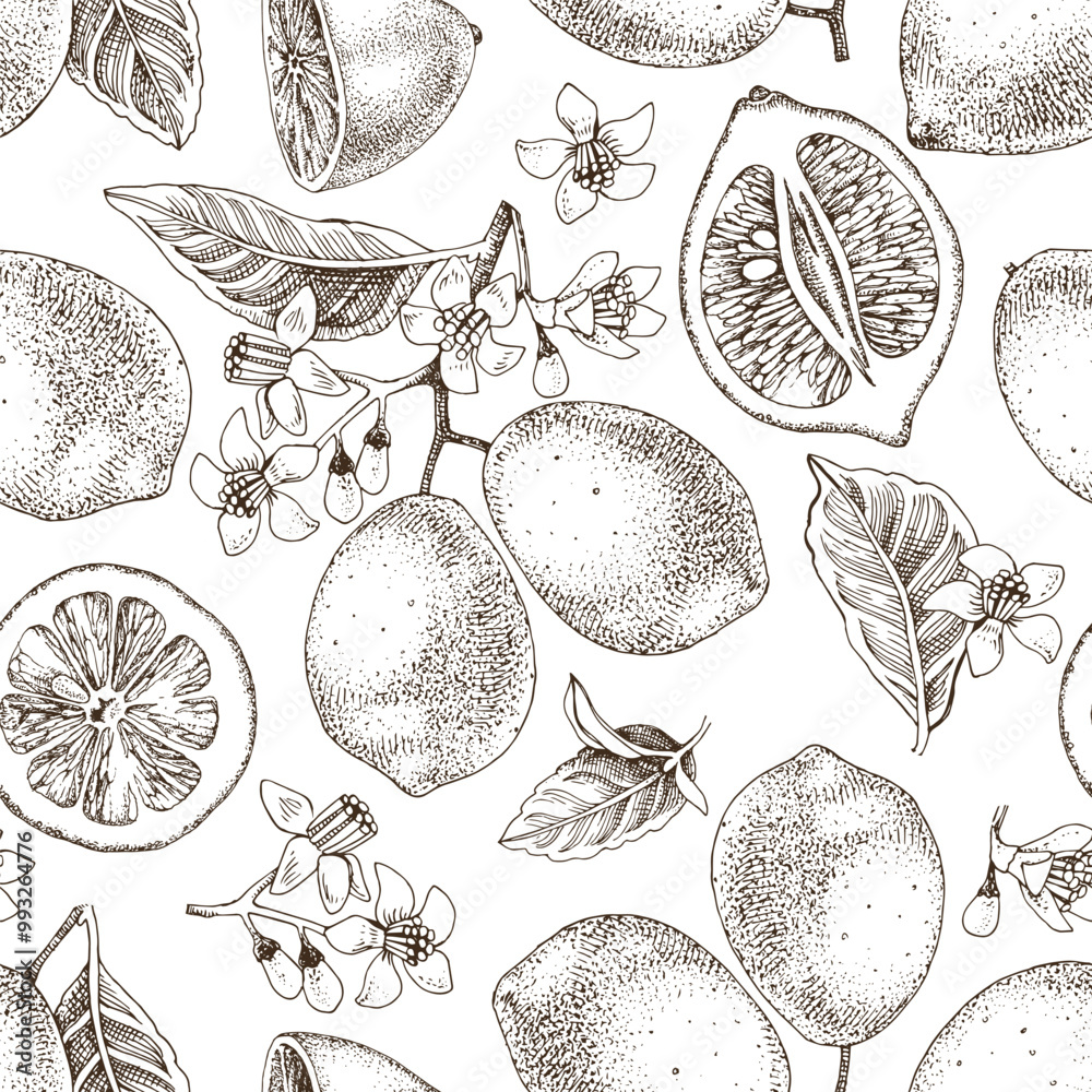 Obraz premium Lemons seamless pattern vector illustration