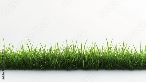 Vibrant Green Grass Isolated on a White Background