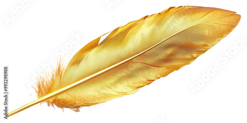 Golden feather isolated on white