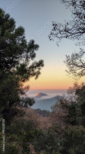 Panoramic view through tree branches on top of a mountain above the clouds at sunset. Seraidi. Annaba. Algeria photo