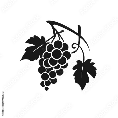 Detailed Grapes in Leaves Silhouette Vector Illustration Transparent Background