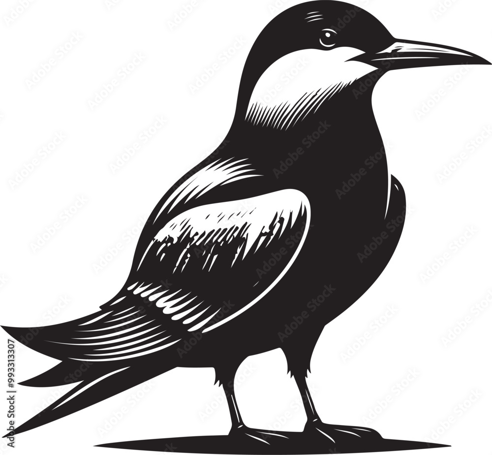 Fototapeta premium black Aleutian birds silhouette vector illustration, solid white background