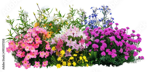 Fototapeta Naklejka Na Ścianę i Meble -  PNG Colorful blooming flowers garden