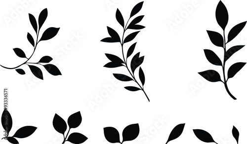 A collection of leaves arranged in a seamless pattern on a white background. Vecor design elements.
