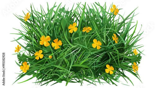 Dense Patch of Green Grass with Yellow Flowers vector illustration, wildflowers growth and nature, vibrant meadow flowers illustration, lush grass with blossoms, colorful wildflower landscape