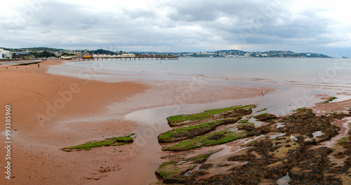 Paignton beach wide panorama showing the red sand, rocks and pier. Colourful image. Torbay and English Riviera photo