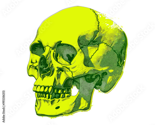 Fluorescent yellow-green human skull collage element in acid style vector illustration, bone hand rib, textured design elements, vibrant skull vector art, psychedelic bone graphics, surrealist skull photo