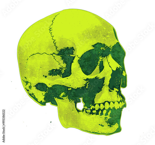 Fluorescent yellow-green acid style vector illustration of a human skull collage element with bone hand and rib, textured design elements, neon skull art, vibrant horror graphics, psychedelic skull photo