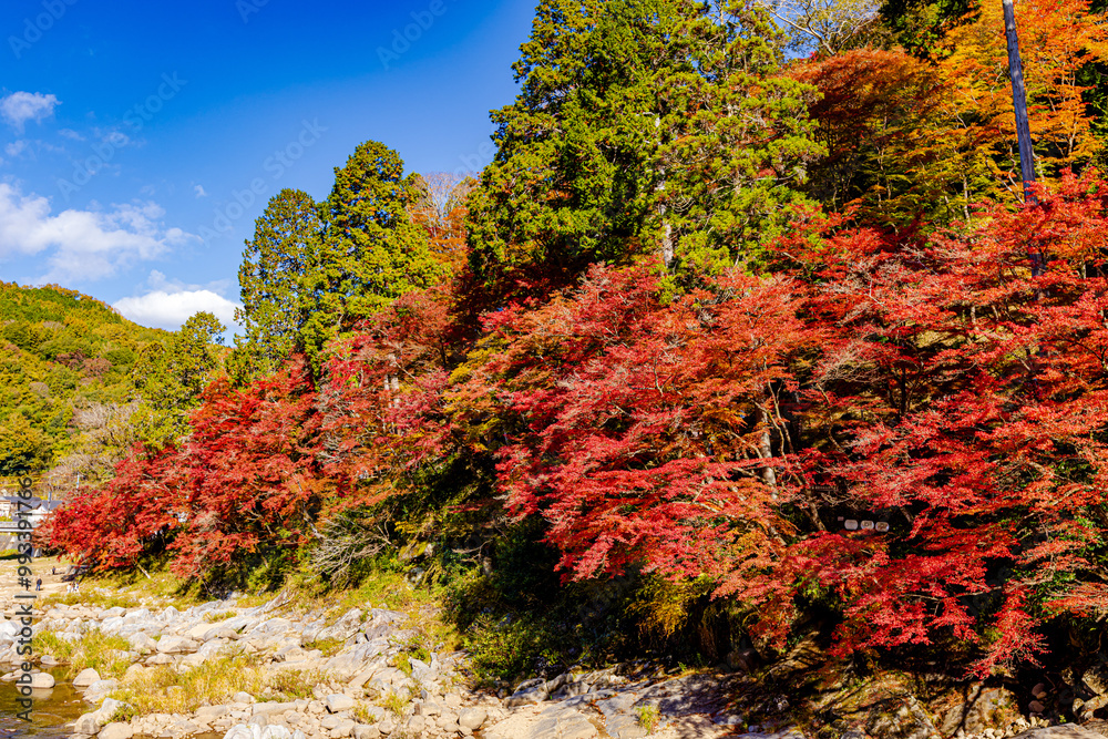 愛知県　香嵐渓の紅葉
