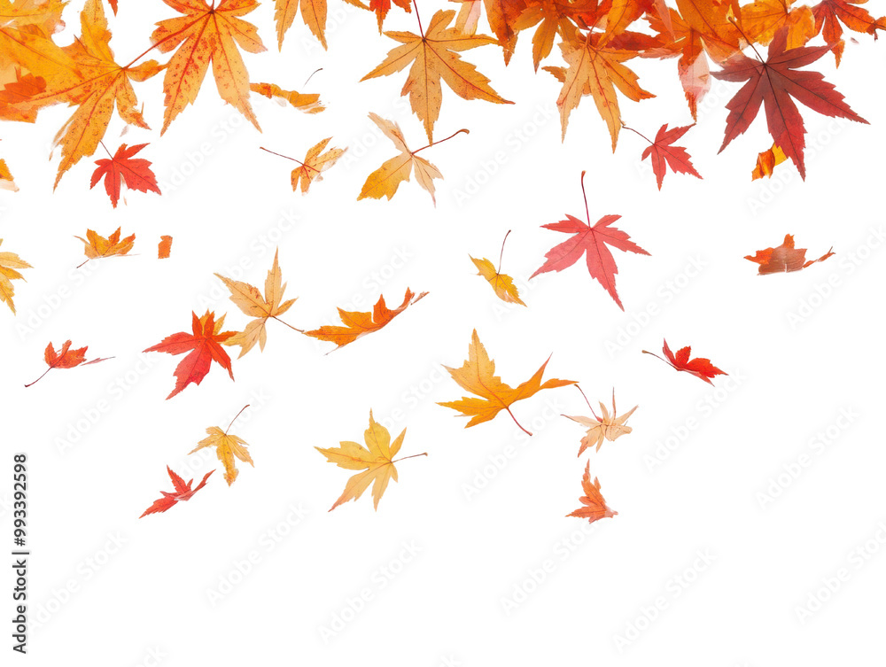 Colorful autumn leaves falling from trees create a vibrant scene of seasonal change. The warm hues bring a sense of tranquility and beauty to the landscape. Colorful autumn leaves falling from trees create a vibrant scene of seasonal change. The warm hues bring a sense of tranquility and beauty to the landscape.