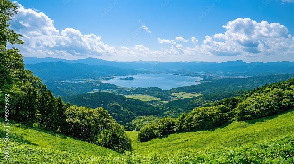 Fototapeta premium An elevated view from Kurumayama Plateau on a clear day, showing off the vibrant greenery and the shimmering Lake Shirakaba in the distance.