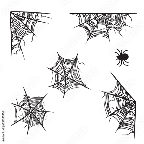 Set of beautiful realistic web net with spider in black isolated on white background. Hand drawn vector sketch illustration in doodle engraved line art vintage style. Happy Halloween, horror, icon