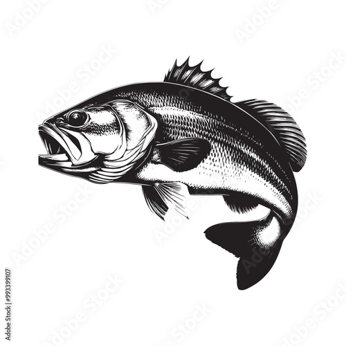 Large Mouth Bass fish vector illustration